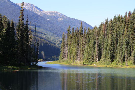 Auf dem Weg nach Whistler
