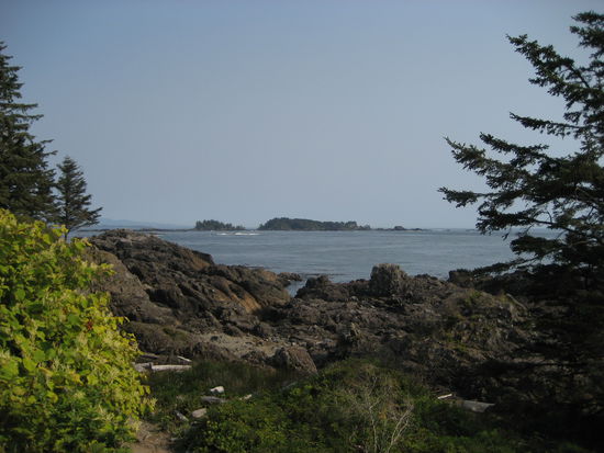 Pacific Rim National Park - Lighthouse Walk