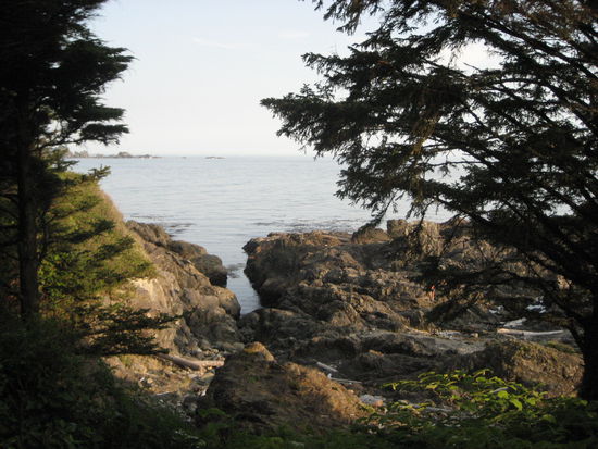 Der Weg ist ein Traum