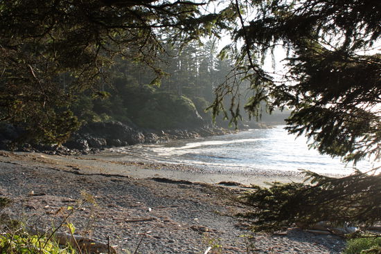 Auf einem unserer vielen Strandspaziergänge