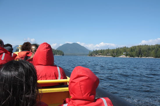 Wir fahren ca 2,5 Stunden entlang der Küste auf der Suche nach Walen