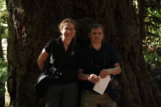 Die Bäume sind einfach riesig