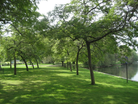 ... ein Gefühl von Sommer - hoffentlich dauert es noch lange bis der Herbst kommt...
