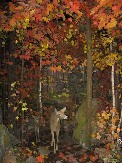 Der Wald wurde den Laubwäldern Ontarios nachempfunden. Bei genauem Hinschauen soll man 20 versteckte Tiere entdecken können...