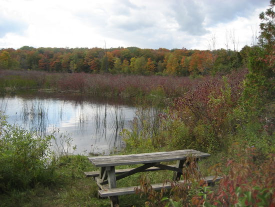 Ist das nicht schön? Ein Ort der Ruhe..