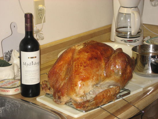 Ganz schön groß, eh?