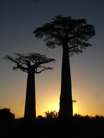 Veloma Madagascar