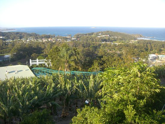 Bananenplantage mit Blick auf die Stadt