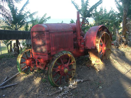 alter Traktor neben der Plantage