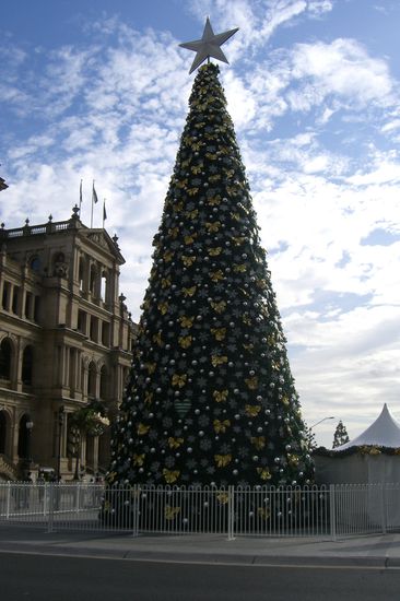 Weihnachtsbaum in der Stadt