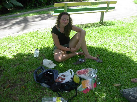 Paw Paw, Papaya und Melone 