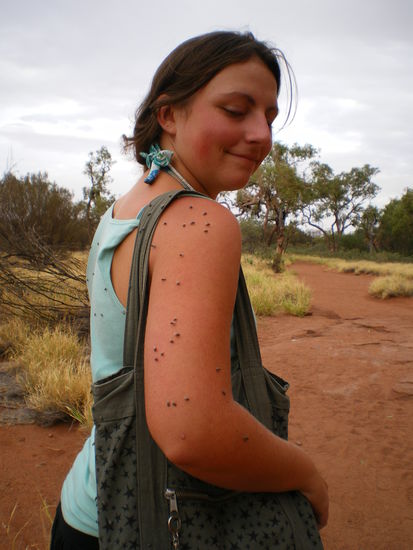 nervige Fliegen ueberall, einmal sogar eine verschluckt 