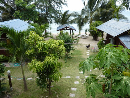 Ausblick vom Bungalow