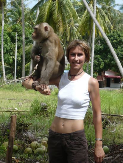 Schweres Ding (Wer? Na der Affe)