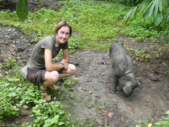 Daniel: "Schwein gehabt?"