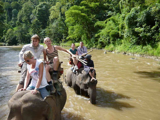 Das Bild haben wir gemacht 