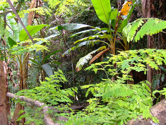 Ja genau da durch geht irgendwo auch ein Weg lang, koennt'a glauben...