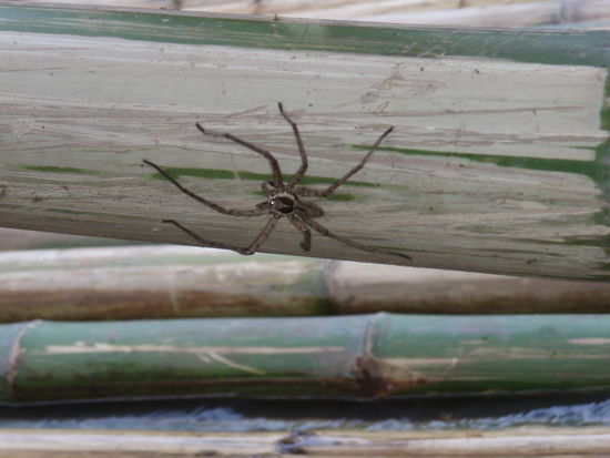 Iiiiiiiiiiiiiii, sagen jetzt bestimmt alle.