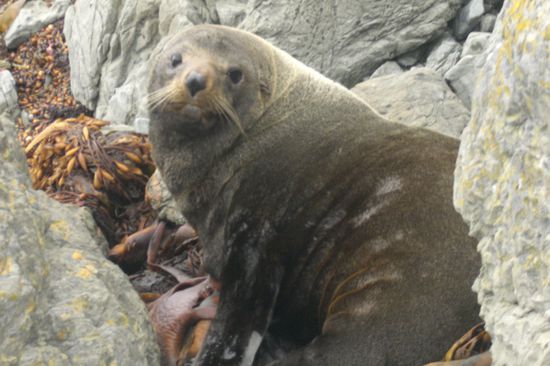 wer seid ihr denn?????