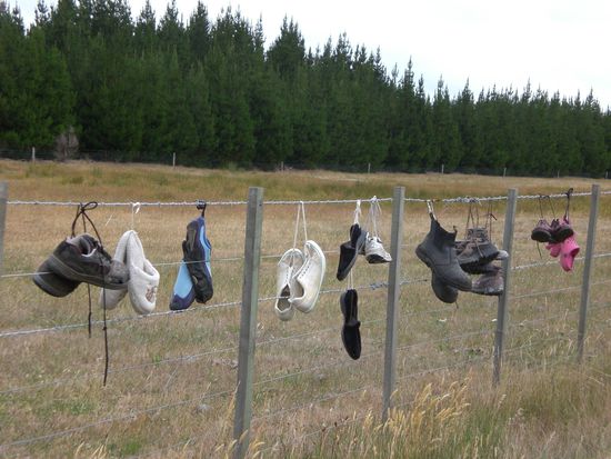 hmmm.. welchen Zweck das hat wissen wir nicht!!!! (mitten auf der Route 1 )