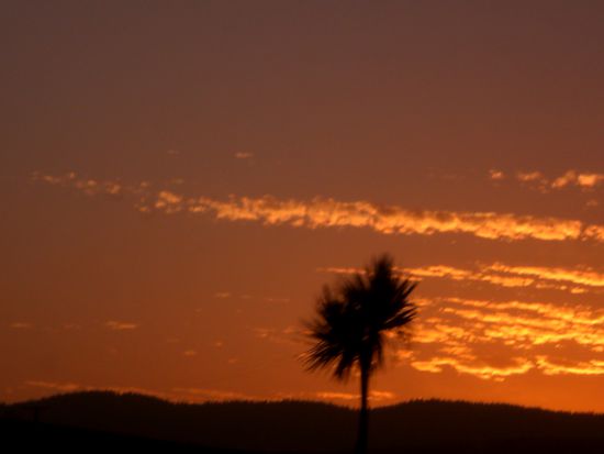 der Sonnenuntergang begleitet uns auf dem restlichen Weg nach Dunedin
