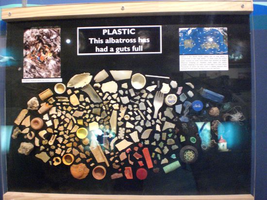 all diesen Muell hatte der tote Albatross in seinem Magen!!