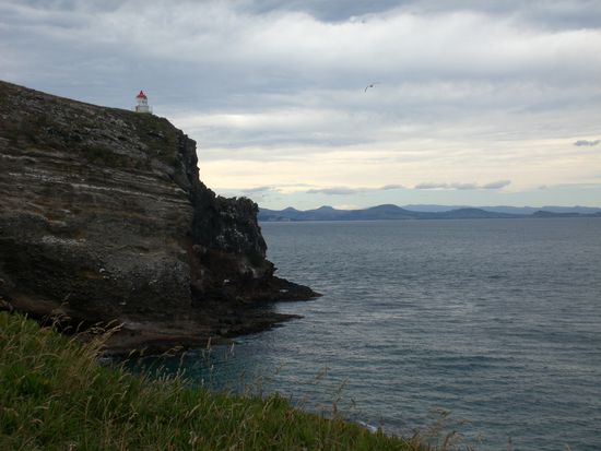 Suchbild: Wo ist der Albatross??