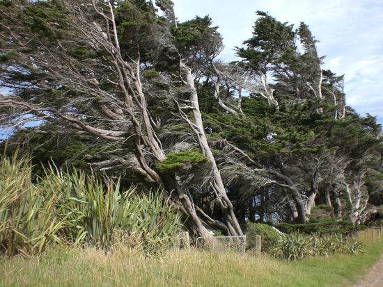 Nein...es ist nicht windig...wirklich wahr!!!!