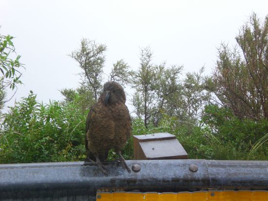 ...heissen uns Willkommen!!