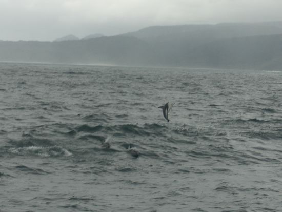 ...und uns ihre Kunststuecke vorfuehren!!