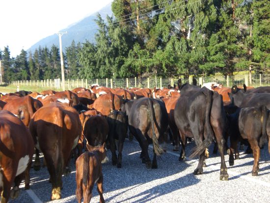 unsere Weggefaehrten