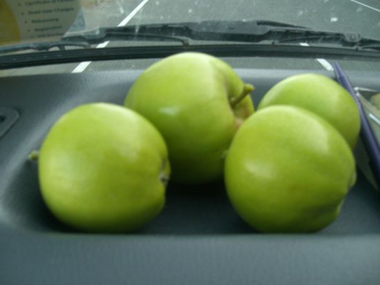 Unterwegs ein paar Aepfel gekl....aehmm..gepflueckt!