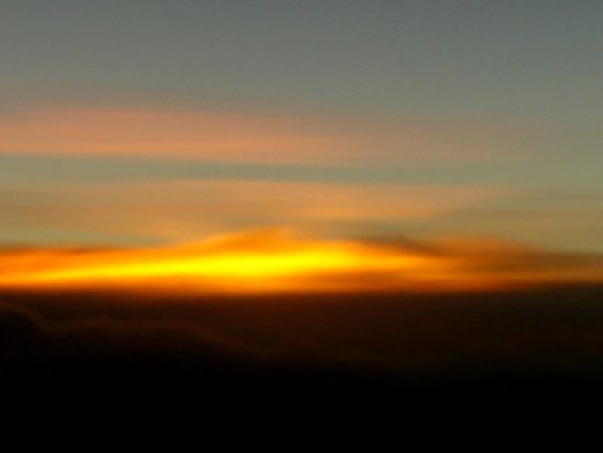 ...New Zealand