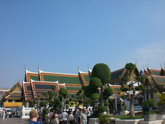 schicke Baumschnitte