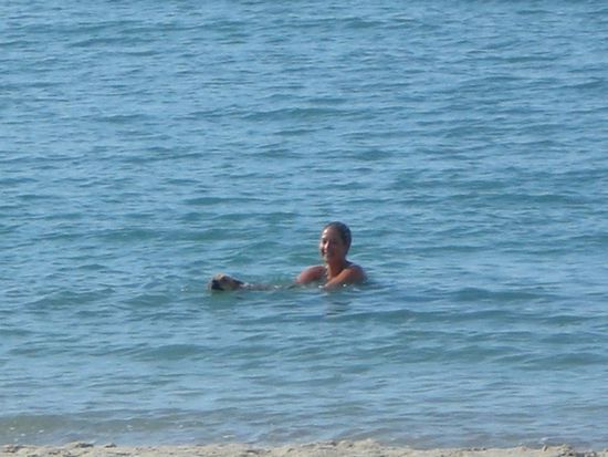 eine süße Hundedame begleitet die Sara beim schwimmen