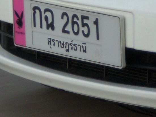 PLAYBOYKENNZEICHEN...na Jungs...da seit ihr neidisch wa??