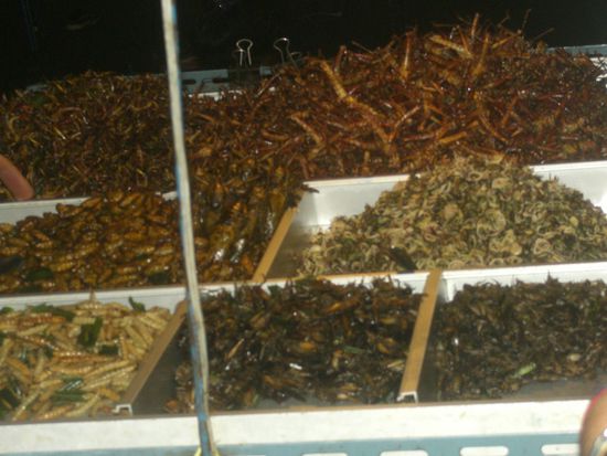 hmmm..gebackene Maden, frittierte Grashüpfer, marinierte Skorpione,....
