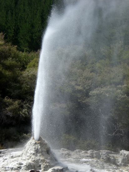 und speiht ca 10 m hoch