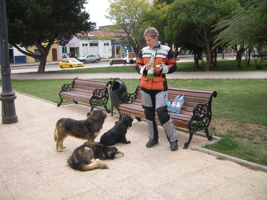 1.(Futter)Stopp ...da hat wohl noch jemand Hunger.