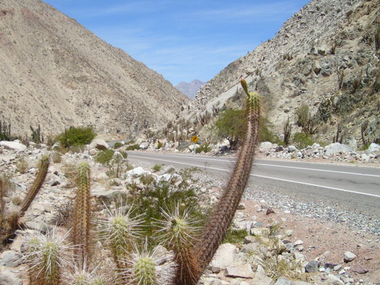 Routa 41 in Richtung Argentinien.