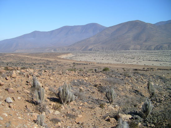 Wuestental im Morgenlicht