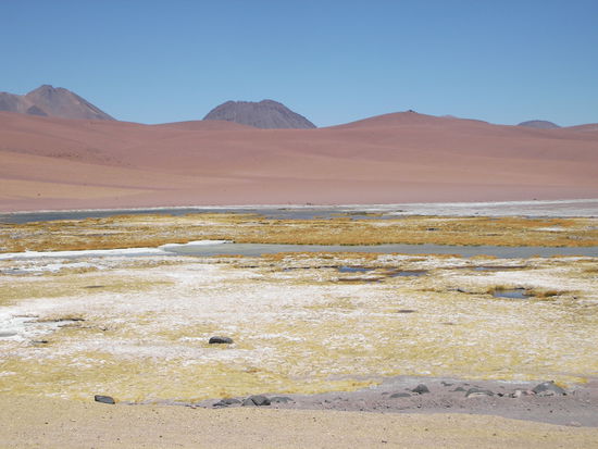 Unser erster Salzsee...