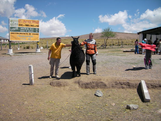 Uli nimmt Kontakt zur einheimischen Tierwelt auf