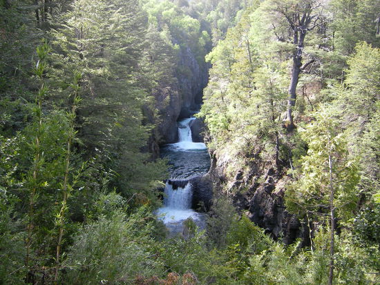 Ein paar der sieben Tassen