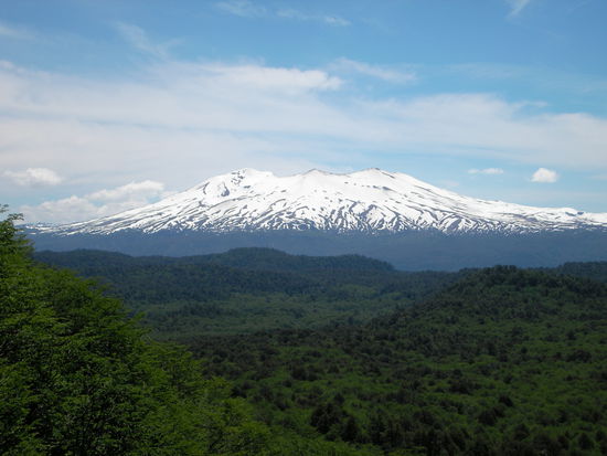 Herrlich gruener Urwald mit Blick auf die noch schneebedeckten Andenberge