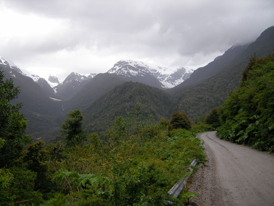 Einfach genial - wunderschoener Blick 
auf den patagonischen Urwald