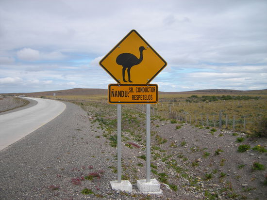 Achtung Ñandu !!!! Ñandus, Vicuñas, Fuechse und Hasen kreuzen hier den Weg...