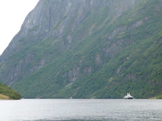 Die Fähre kommt !!! Gleich geht es in den Naeroyford um nach Kaupanger zu kommen