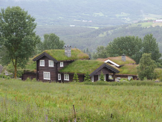 Viele Häuser in Norwegen tragen das "Naturdach"
