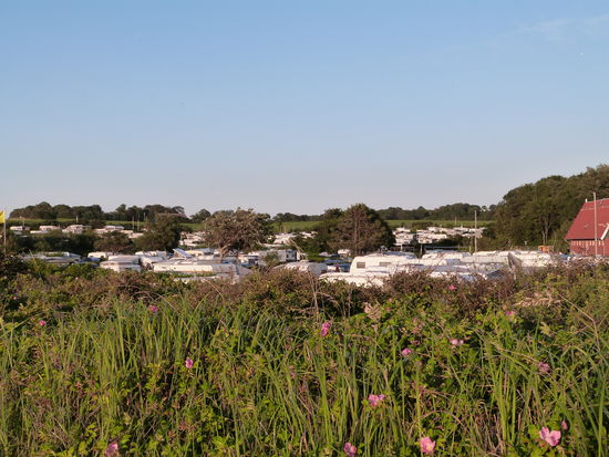 Campingplatz direkt an der Nordsee